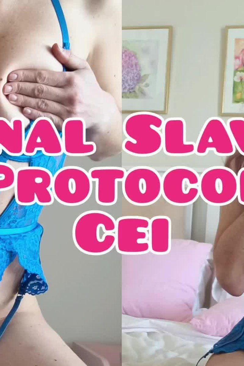 Anal Slave Protocol CEI - Screenshot 1 of 4 - Anal