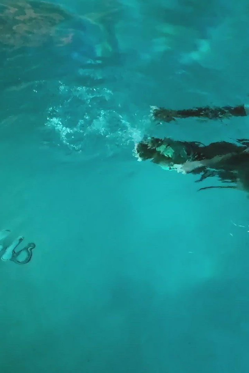 Paradisenight Pool - Screenshot 1 of 4 - Ass Fetish