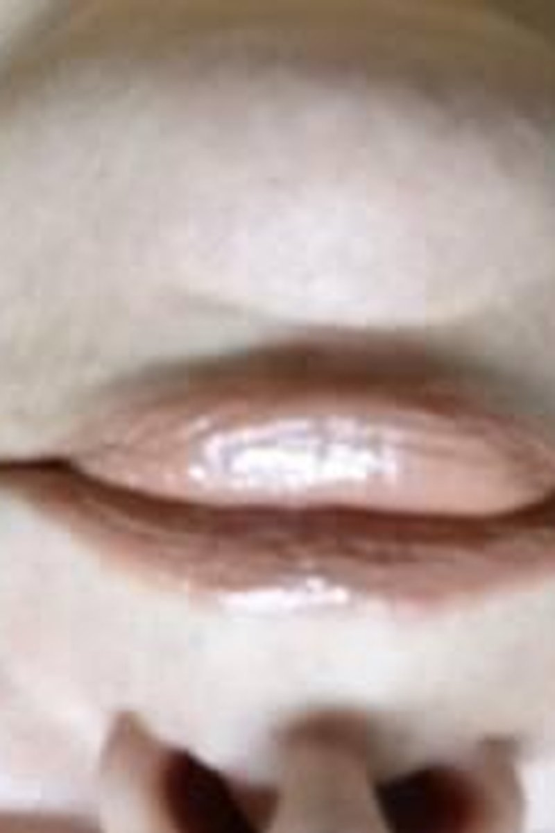 Luscious Lips - Screenshot 1 of 4 - Beautiful