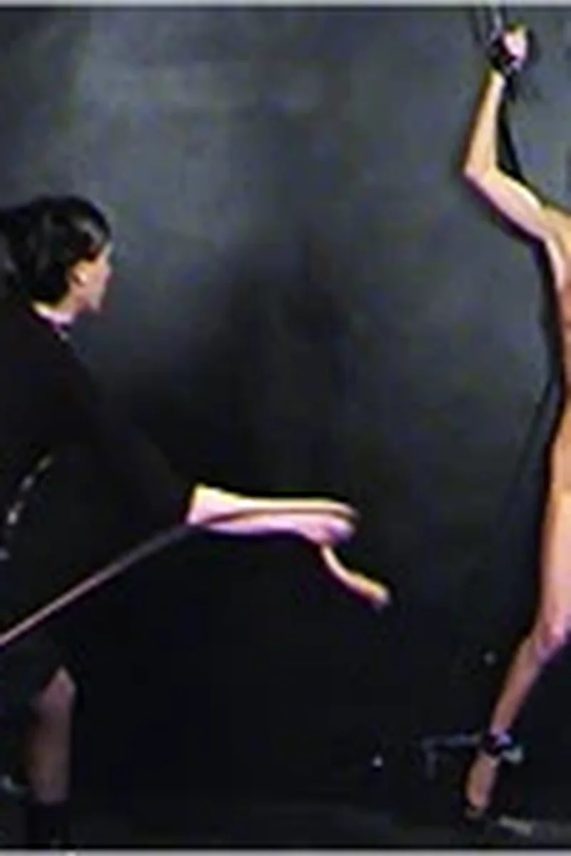 The Auction - Screenshot 1 of 4 - BDSM
