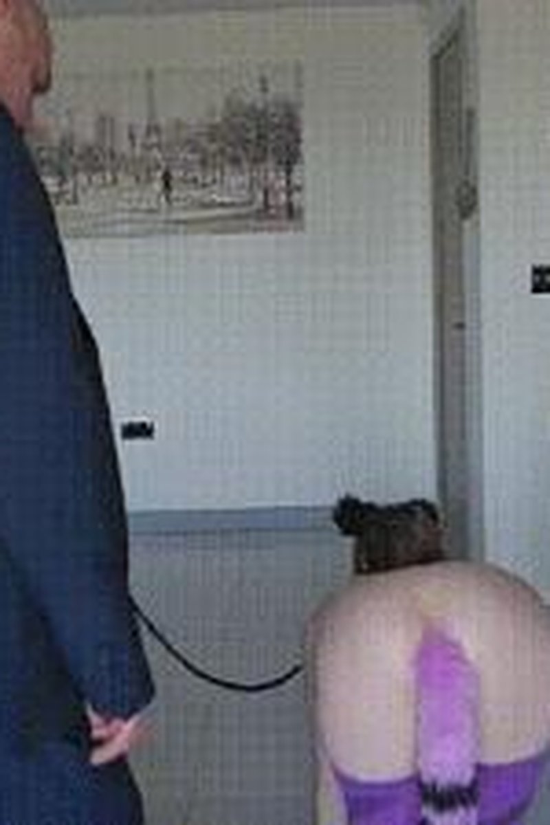 Good Pet Brook - Screenshot 1 of 4 - Butt Plug