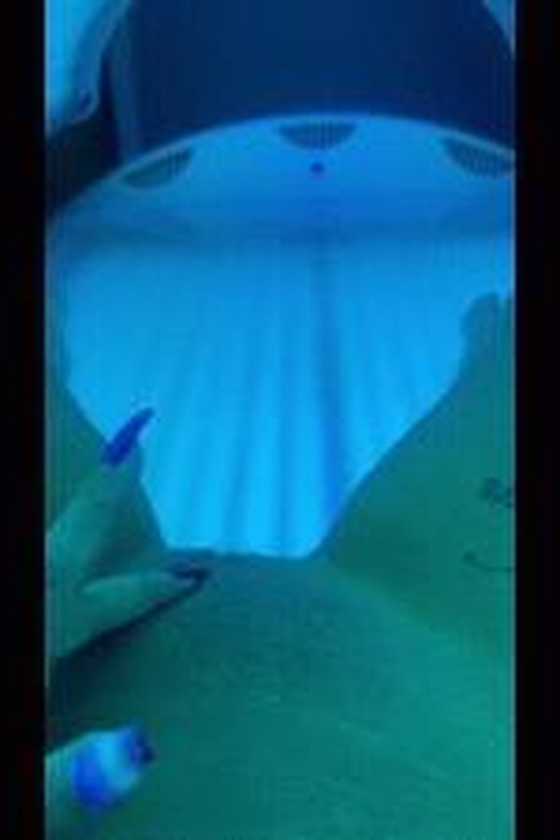Tanning Bed - Screenshot 1 of 4 - Leg Fetish
