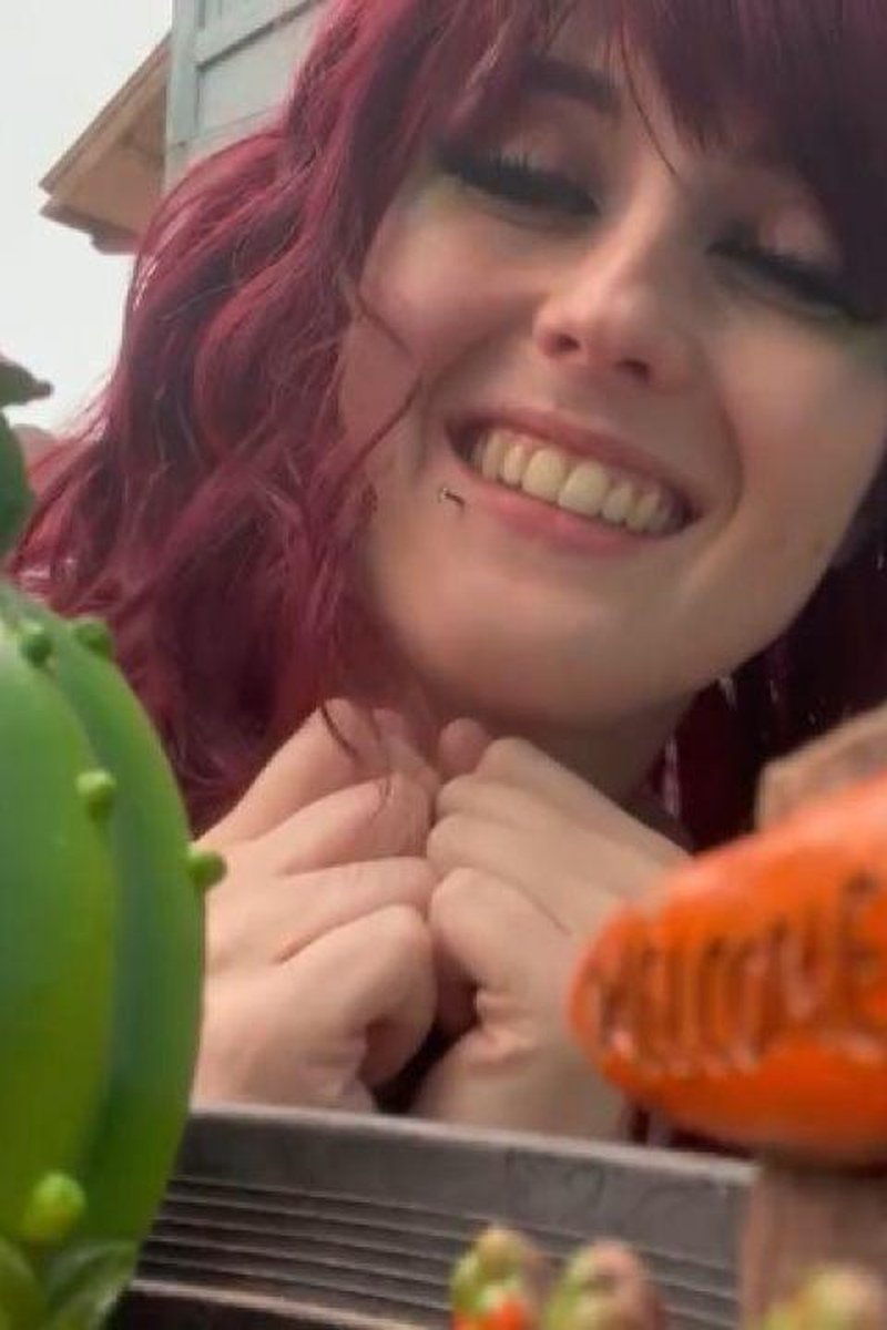 Evicted - Screenshot 1 of 4 - Adorable