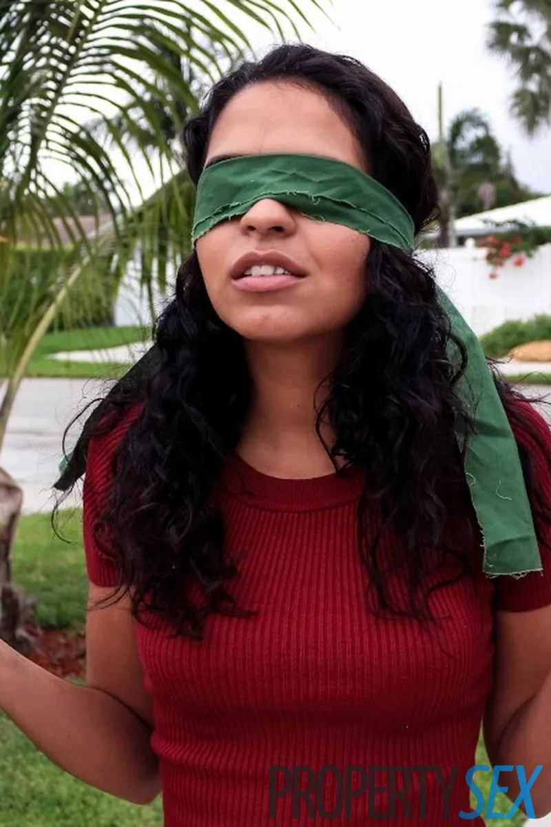 The Surprise - Screenshot 1 of 4 - Blowjob