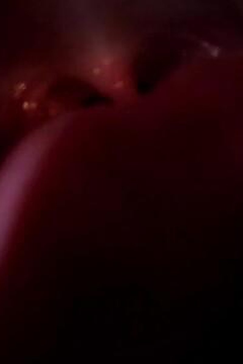 Onlylicks - Screenshot 1 of 4 - Asmr Licking
