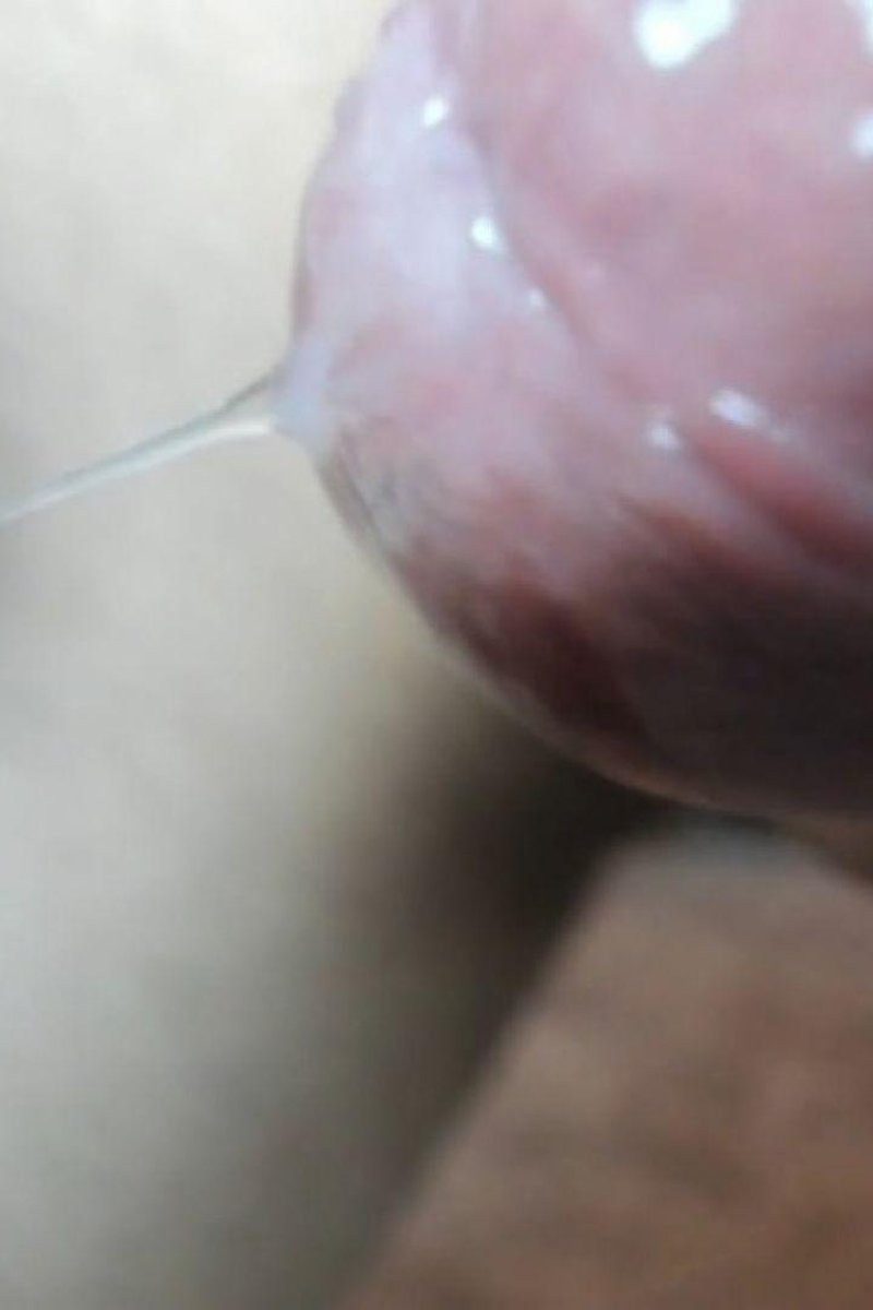 Precum - Screenshot 1 of 4 - Cum Eating