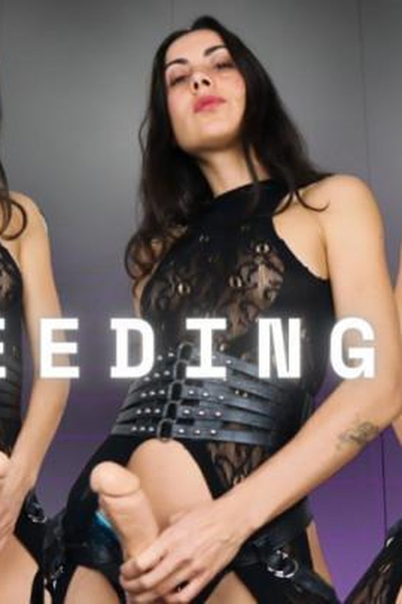 Breeding You - Screenshot 1 of 4 - Analdildo