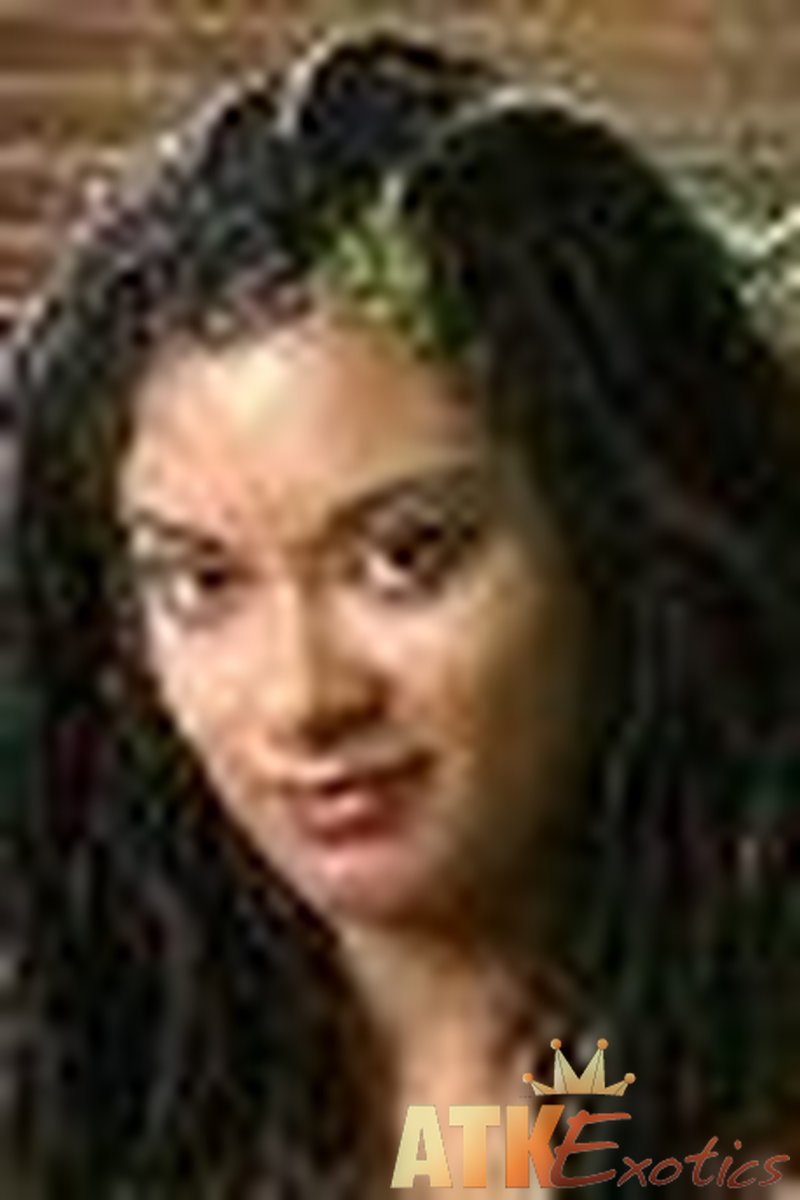 Shadow - Toys - Screenshot 1 of 4 - Shadow Sha043