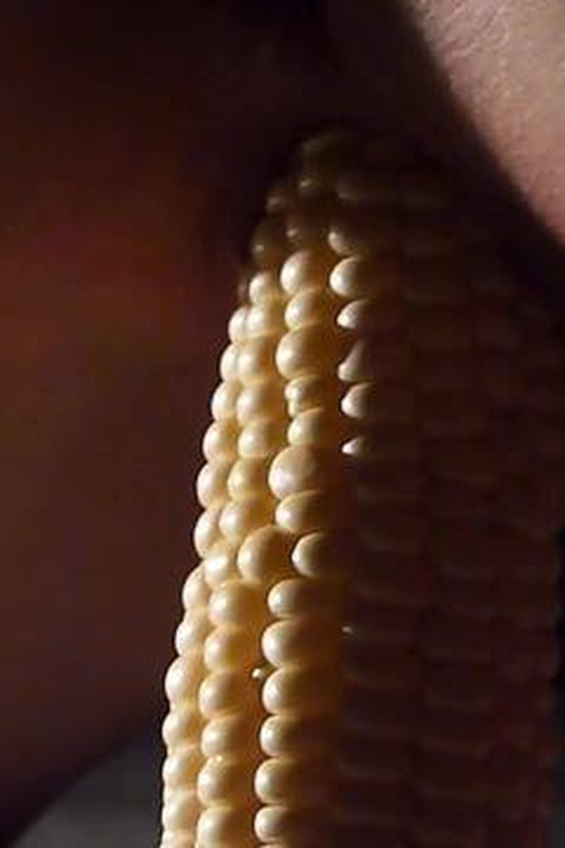 Corn And Cucchini - Screenshot 1 of 4 - Food