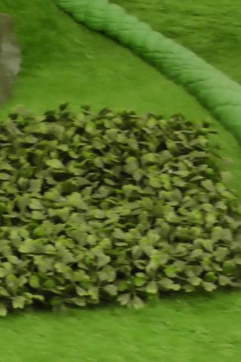 Test2 - Screenshot 1 of 4 - Homemade