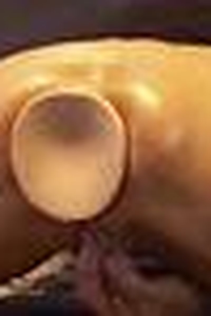 Huge Anal Butt Plug - Screenshot 1 of 4 - Amateur