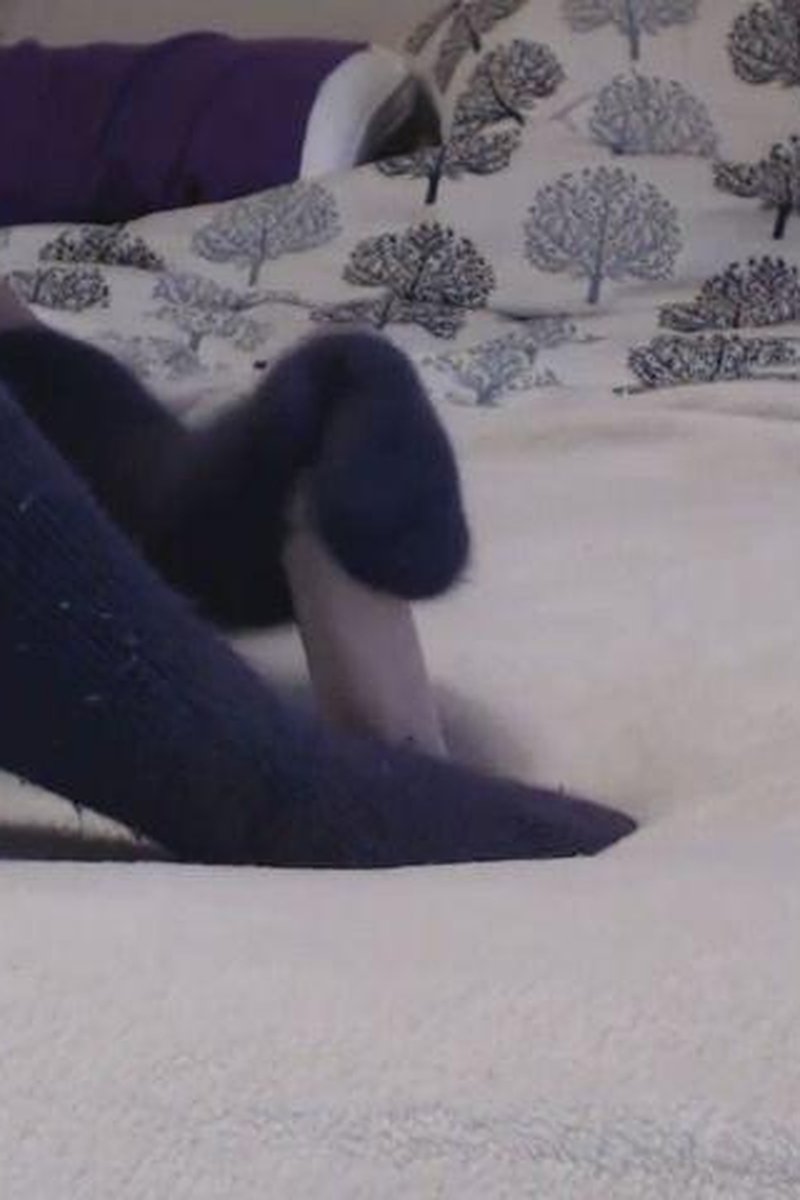Sockjob - Screenshot 1 of 4 - Handjob