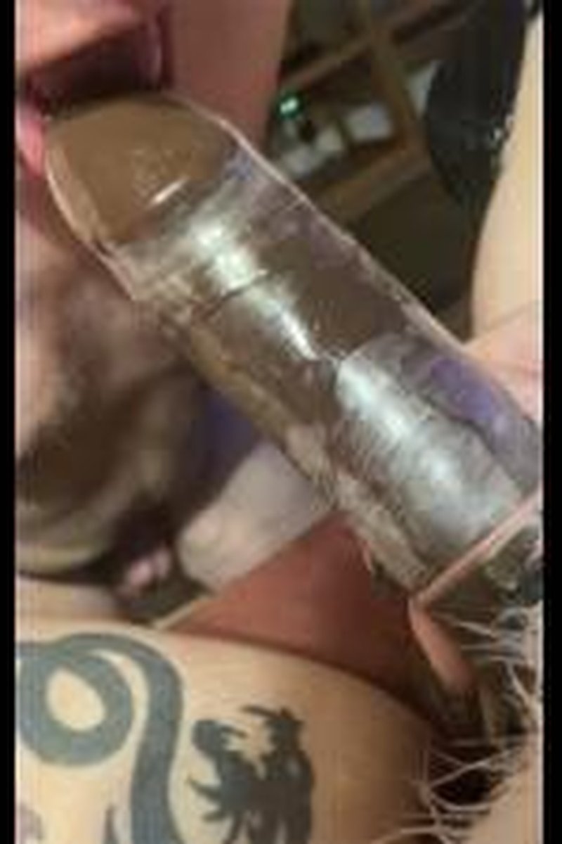 Santas BBC - Screenshot 1 of 4 - BBC