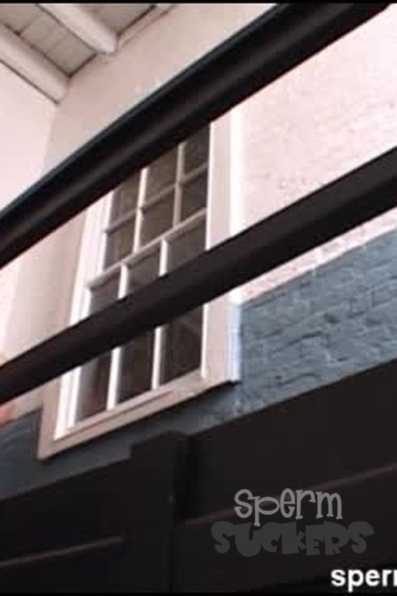 Trixie - Screenshot 1 of 4