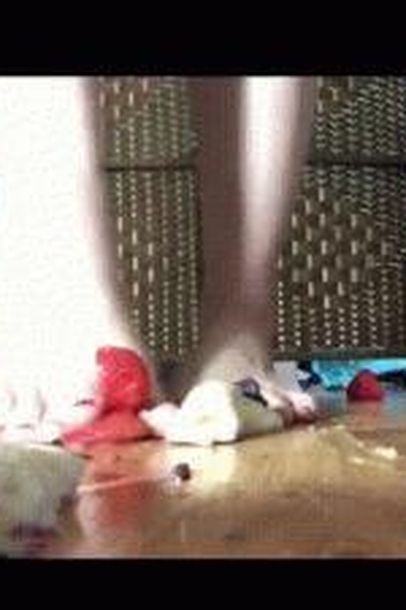 Stomping Fruit - Screenshot 1 of 4 - Foot Fetish