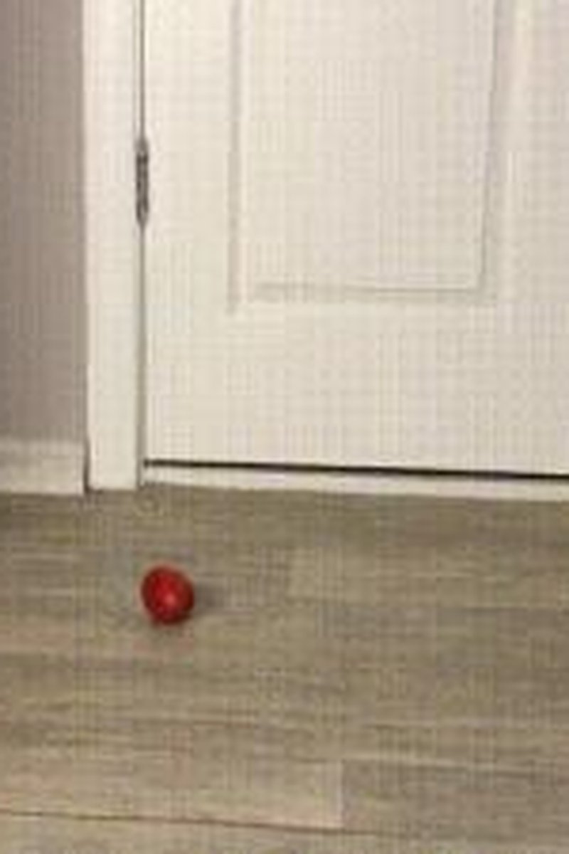 Tomato Trampling! - Screenshot 1 of 4 - Fantasy
