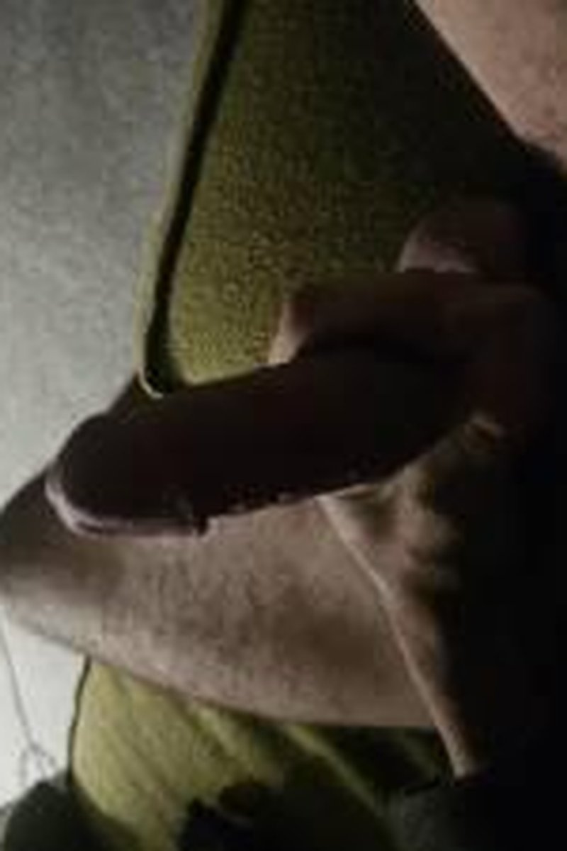 Dicks - Screenshot 1 of 4 - Big Dick