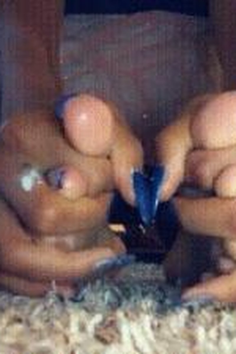 Toe Grip - Screenshot 1 of 4 - Food