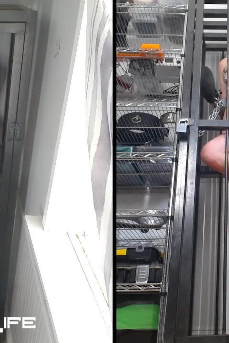 Caged Torment - Screenshot 1 of 4 - Bondage