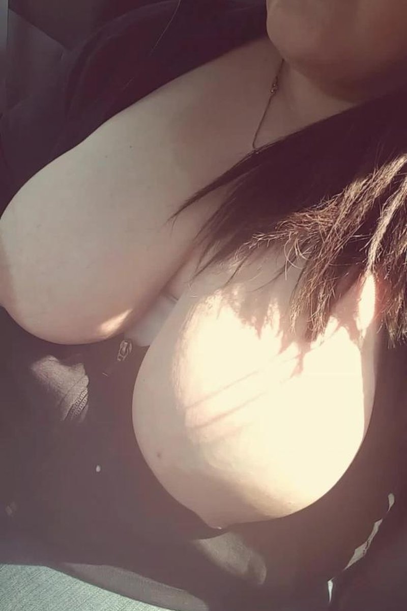 Driving Fun - Screenshot 1 of 4 - Big Tits