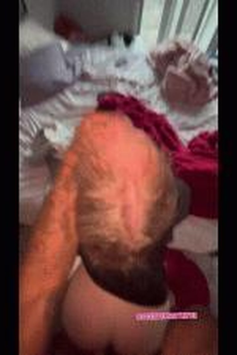 Back Shot Complimation - Screenshot 1 of 4 - Alpha Couple