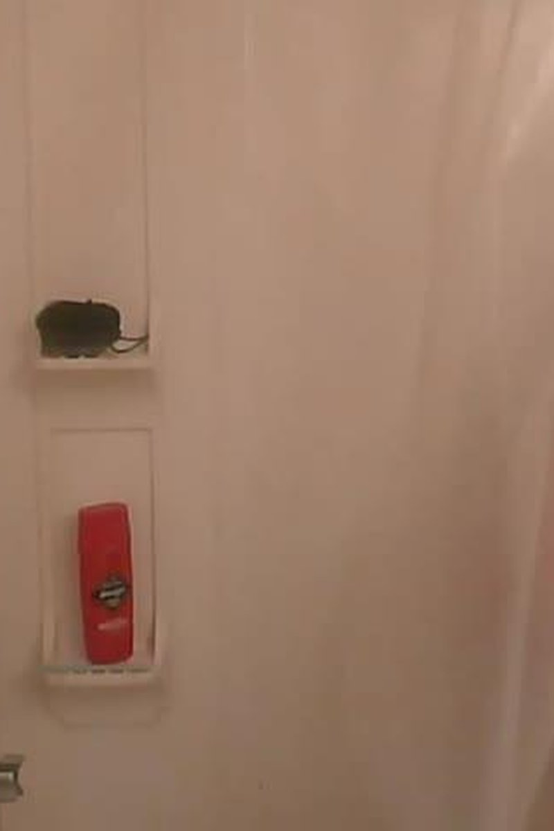 Shower Fun - Screenshot 1 of 4 - Hair Washing