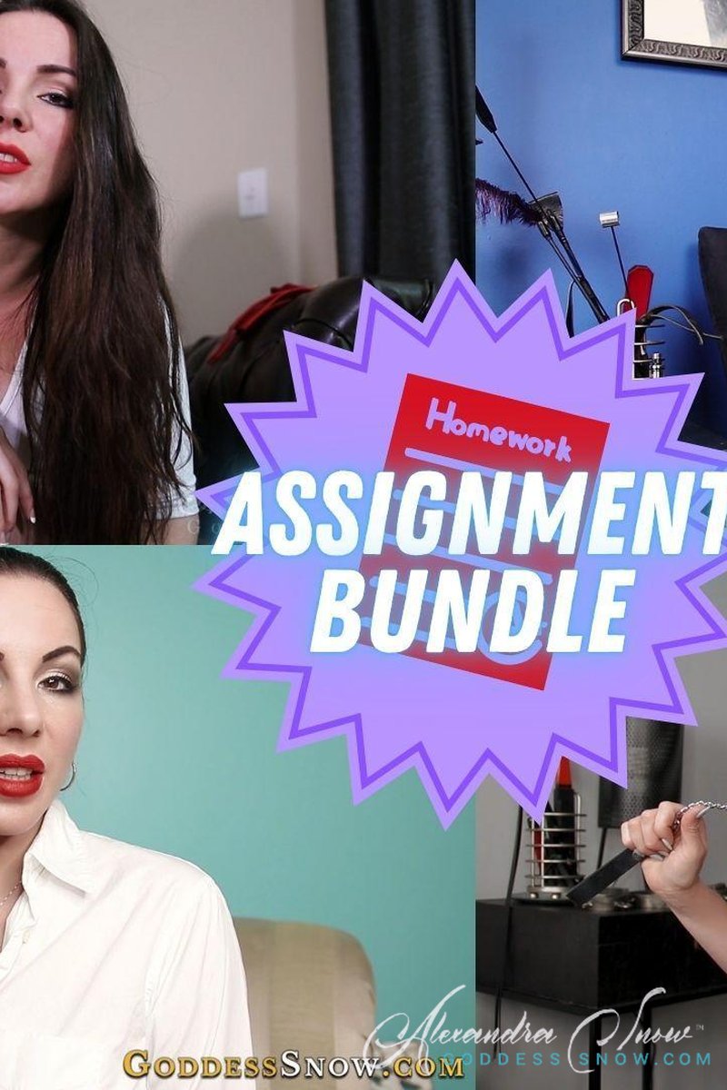 Assignment Bundle - Screenshot 1 of 4 - Assignments