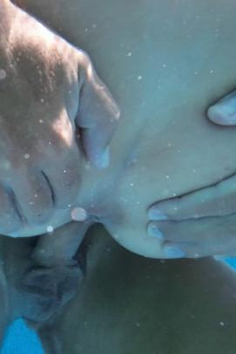 Underwater Adventure - Screenshot 1 of 4 - Golden Shower