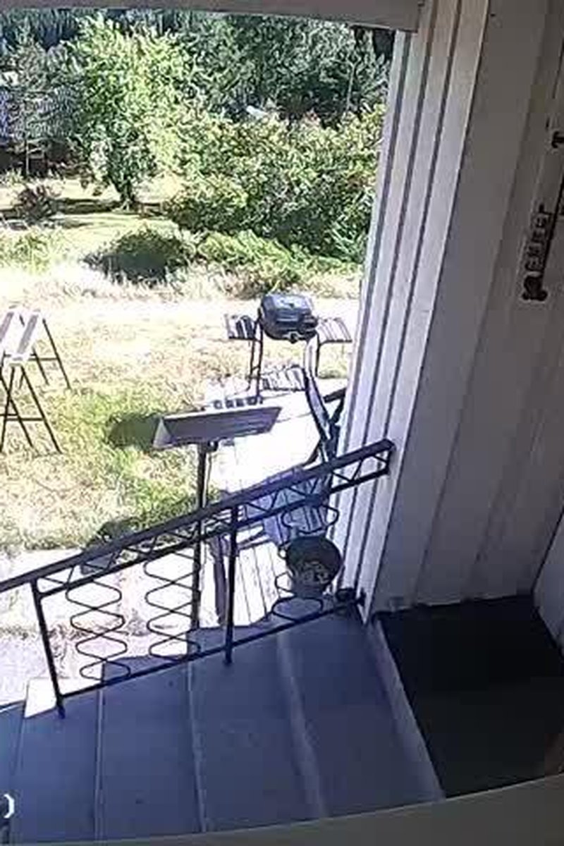 Surveillance - Screenshot 1 of 4 - Humiliation