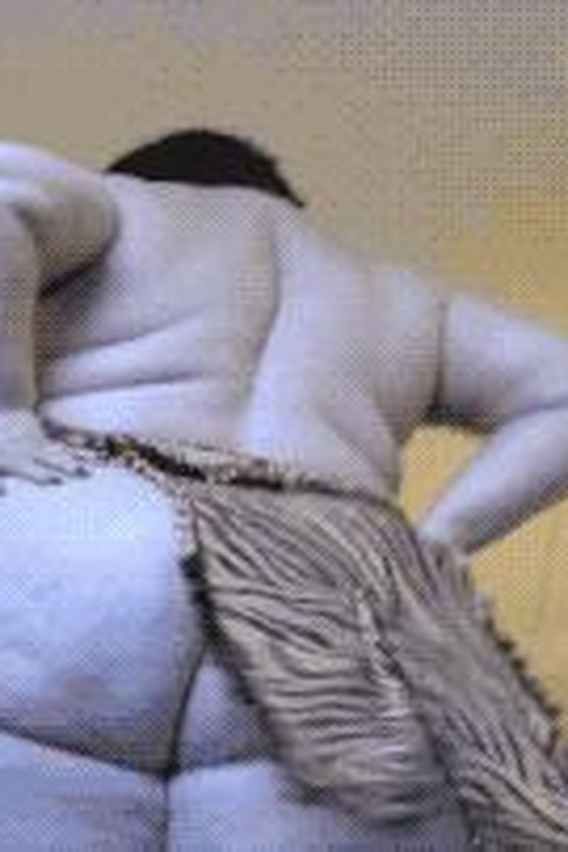 BBW Belly Dance - Screenshot 1 of 4 - BBW