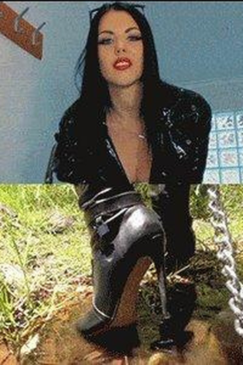 Leashed Pet Compilation - Screenshot 1 of 4 - Boots