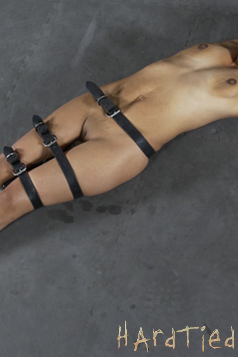 Bondage Newbies - Screenshot 1 of 4 - Babes