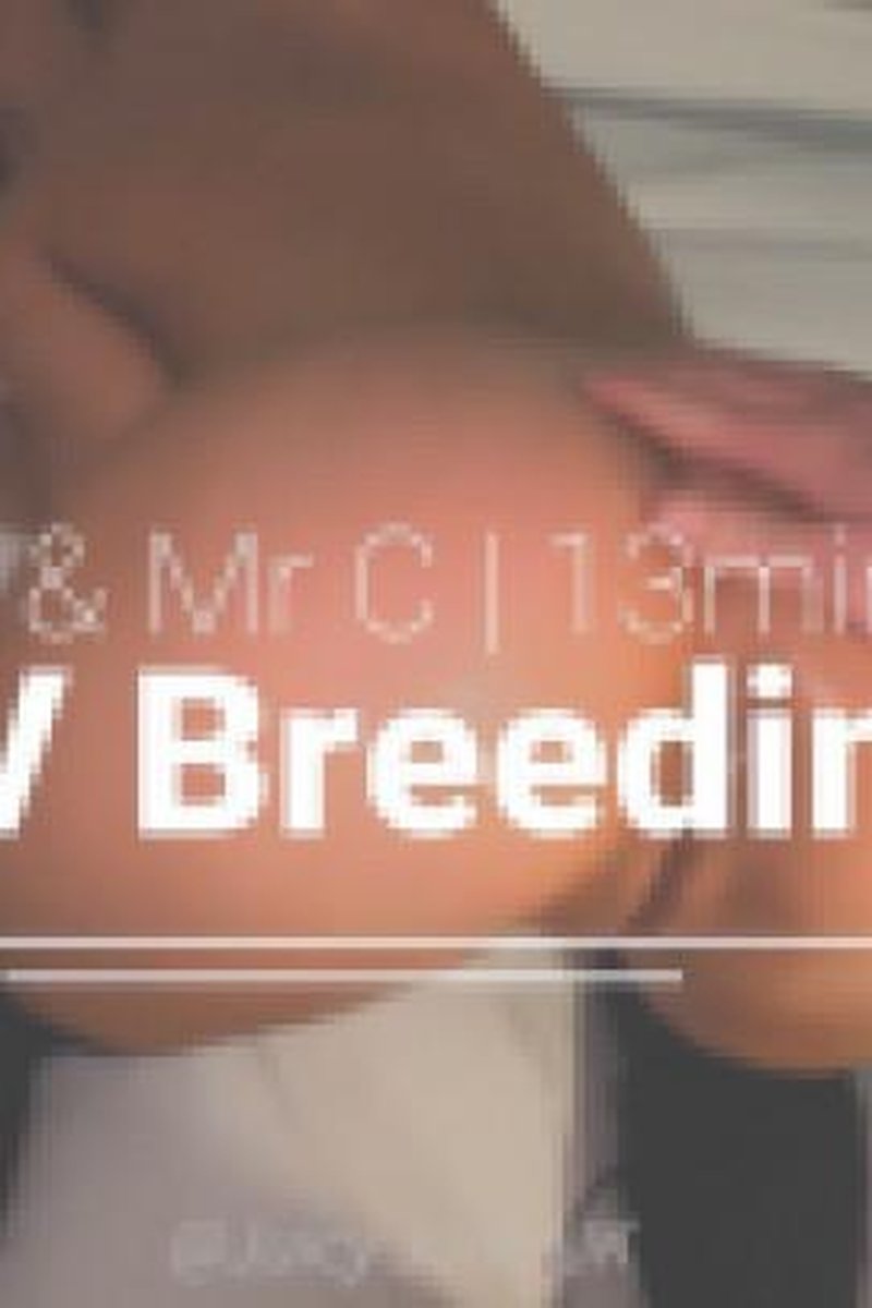 POV Breeding - Screenshot 1 of 4 - Big Dick