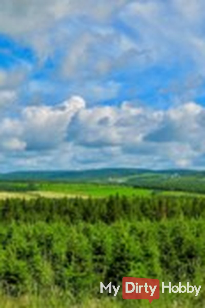 Testing 15.5 - Screenshot 1 of 4 - Cyama2023013101