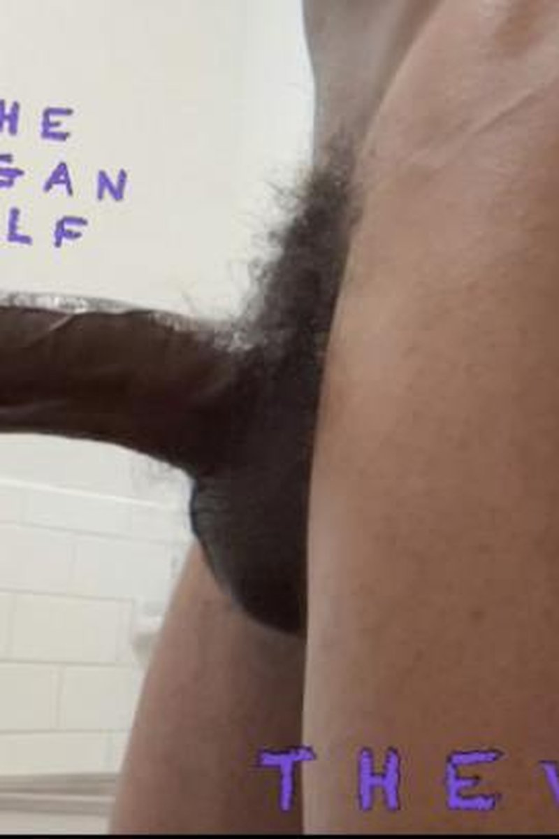 Slomo Dick - Screenshot 1 of 4 - BBC