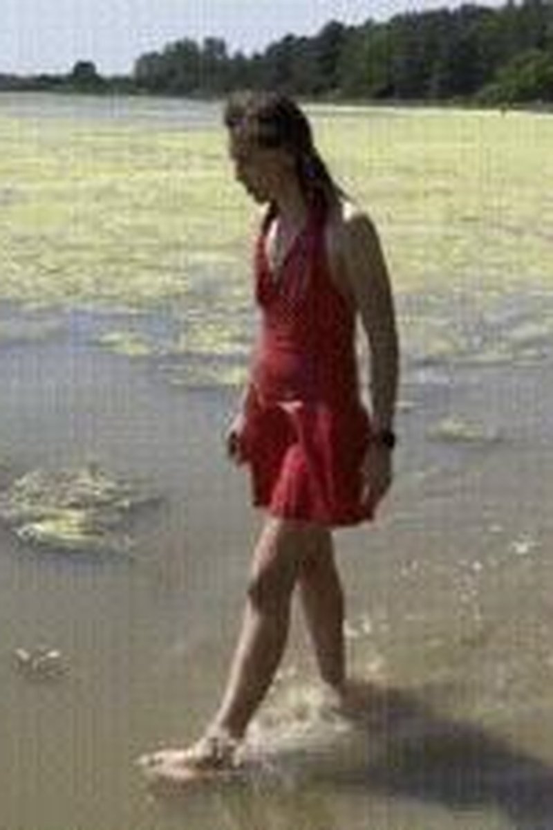 Wetlook Red - Screenshot 1 of 4 - Blowjob