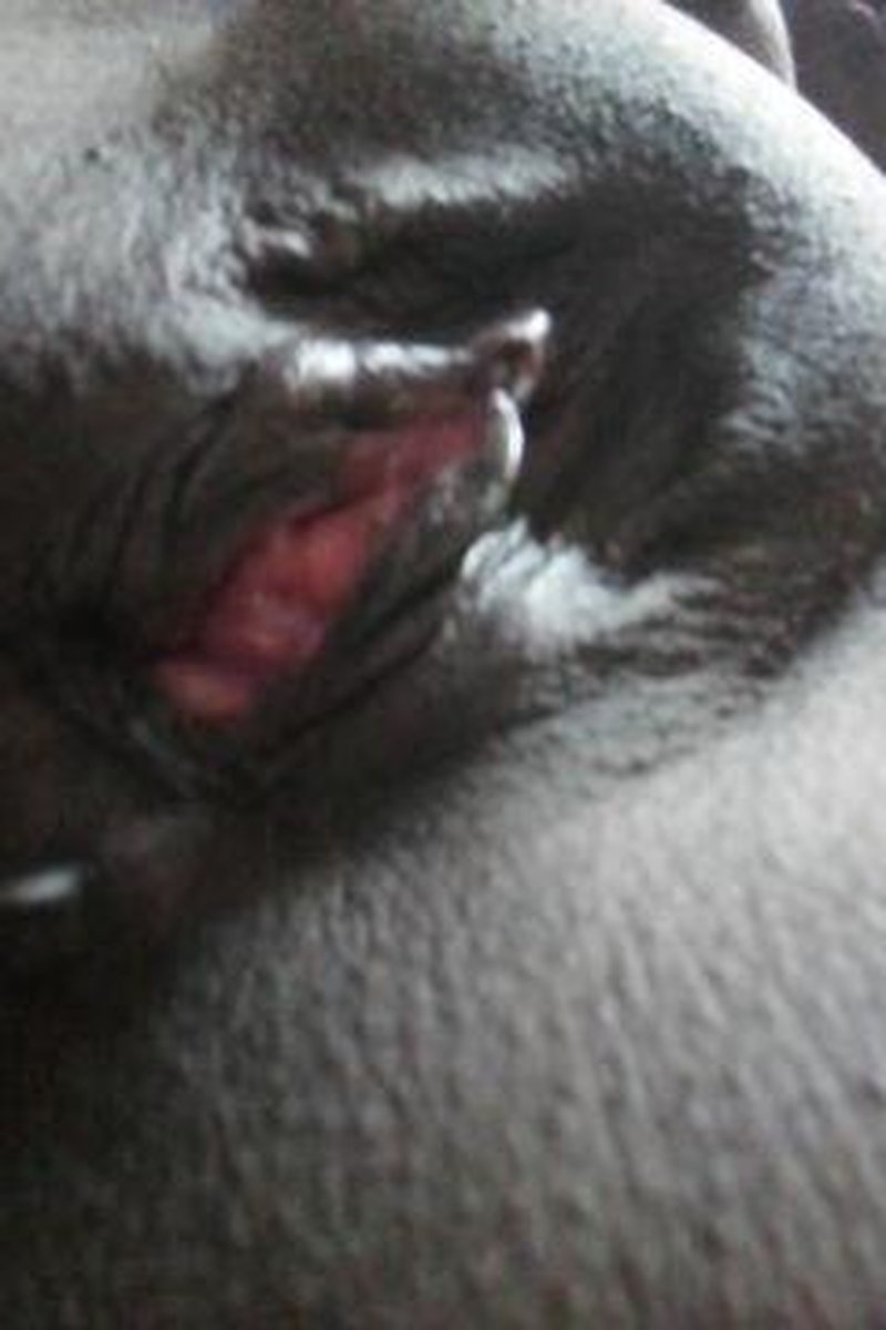 POV Facesitting - Screenshot 1 of 4 - Blowjob