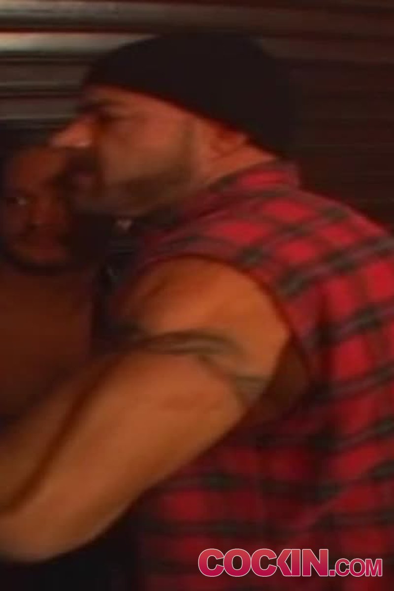 Big Rig Bears 5 - Screenshot 1 of 4 - Gay