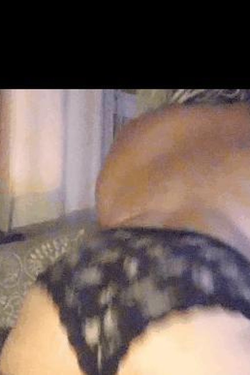 Gif - Screenshot 1 of 4 - Big Ass