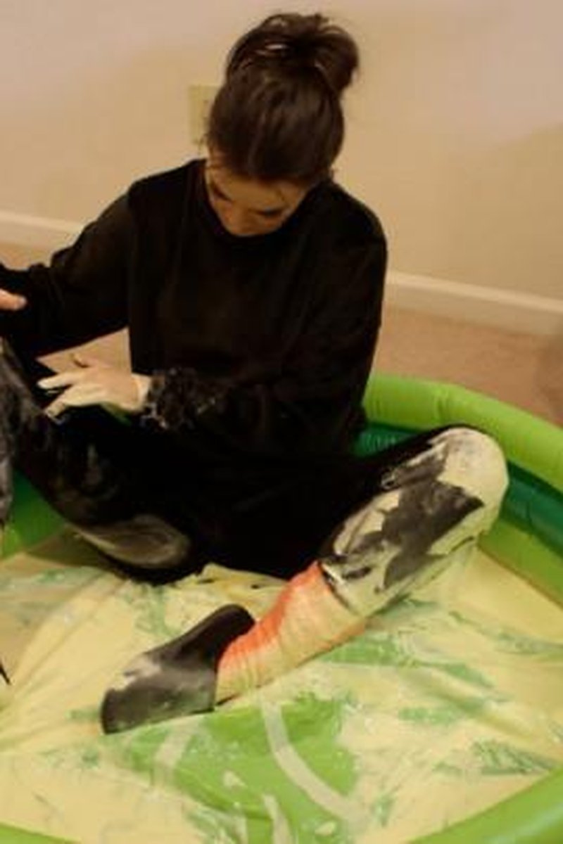 Stuck - Bug Trap - Screenshot 1 of 4 - Socks