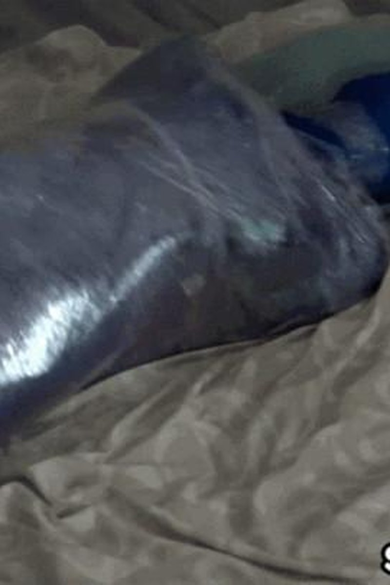 Zentai Girl Mummified #1.2 - Screenshot 1 of 4 - Bondage