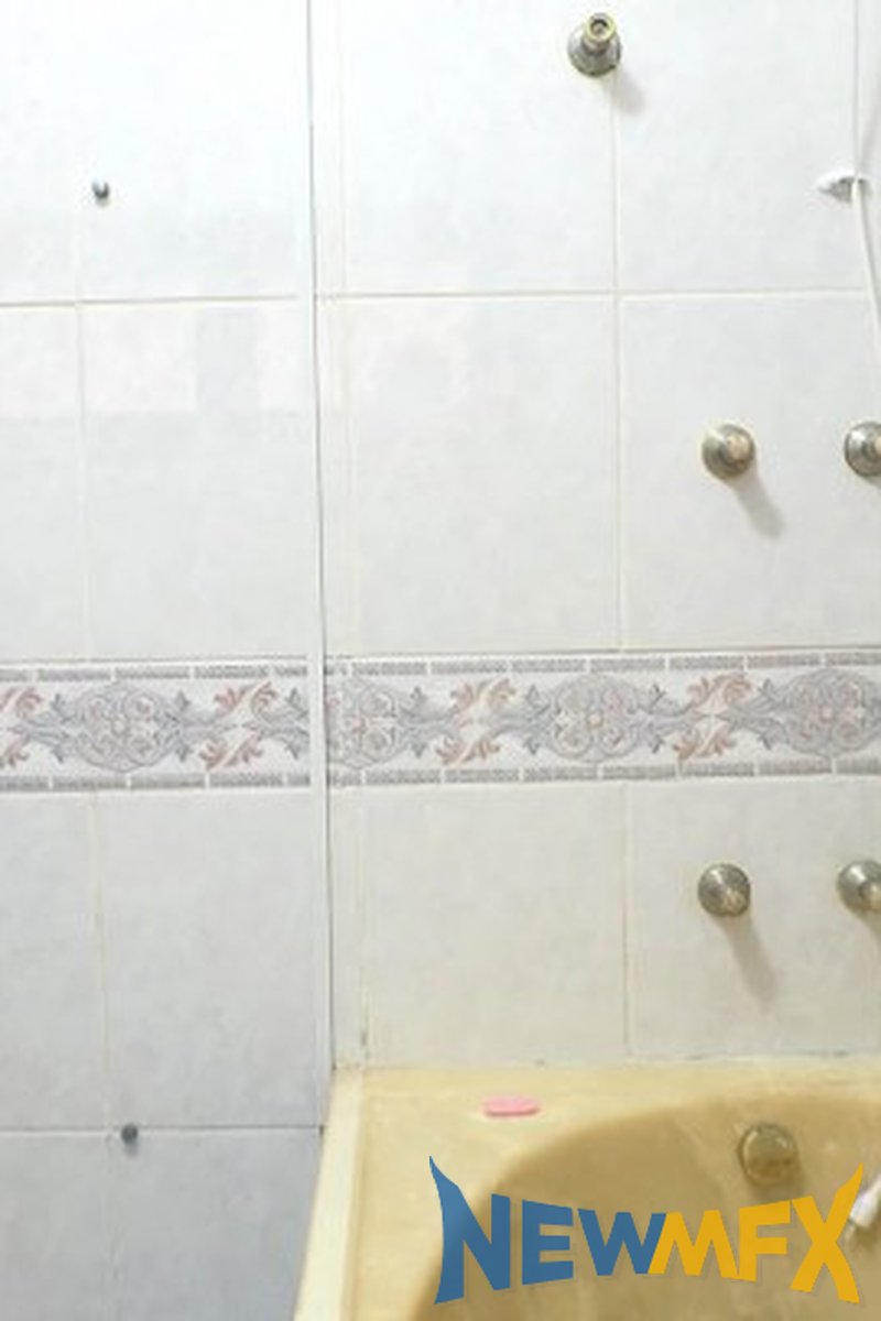 Cat Bath - Screenshot 1 of 4 - Rimming