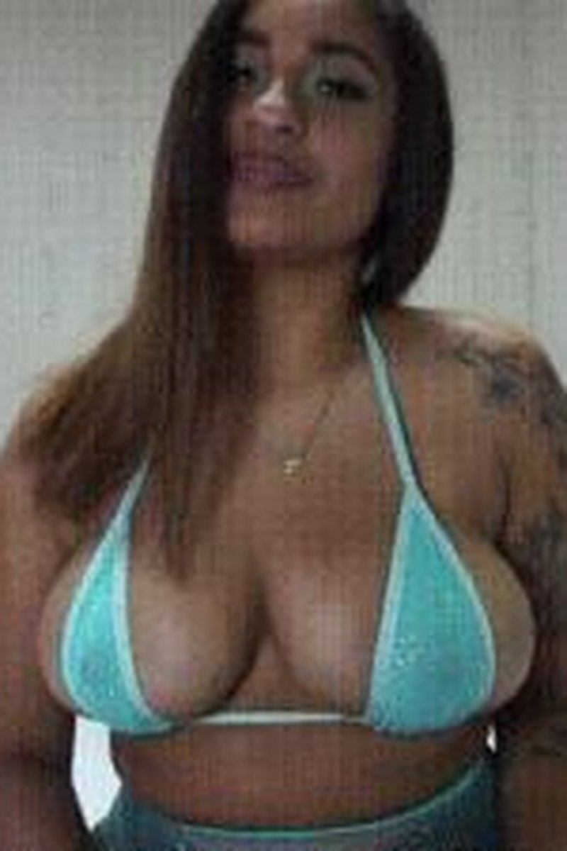 Pup Training - Screenshot 1 of 4 - Domination