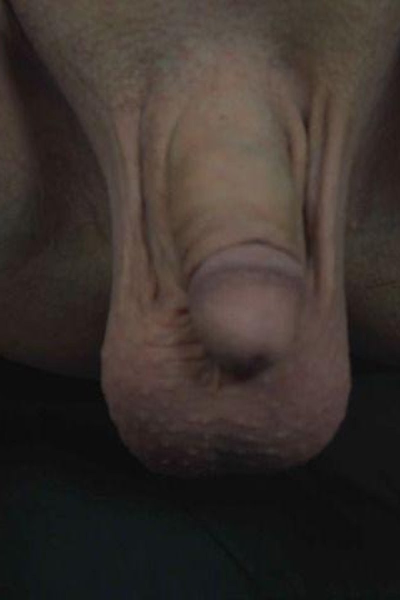 Limp Dick Compilation - Screenshot 1 of 4 - Limp Dick