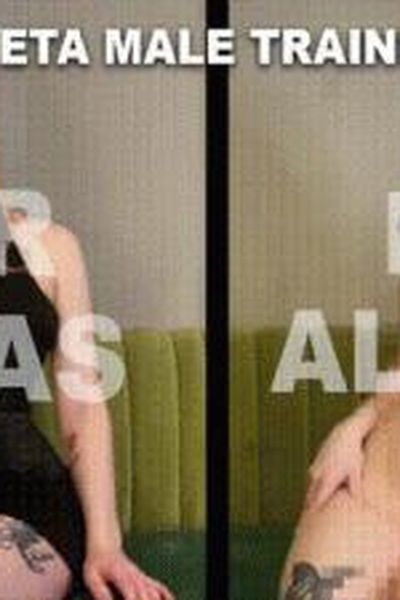 Beta Male Training Split Screen - Screenshot 1 of 4 - Domination