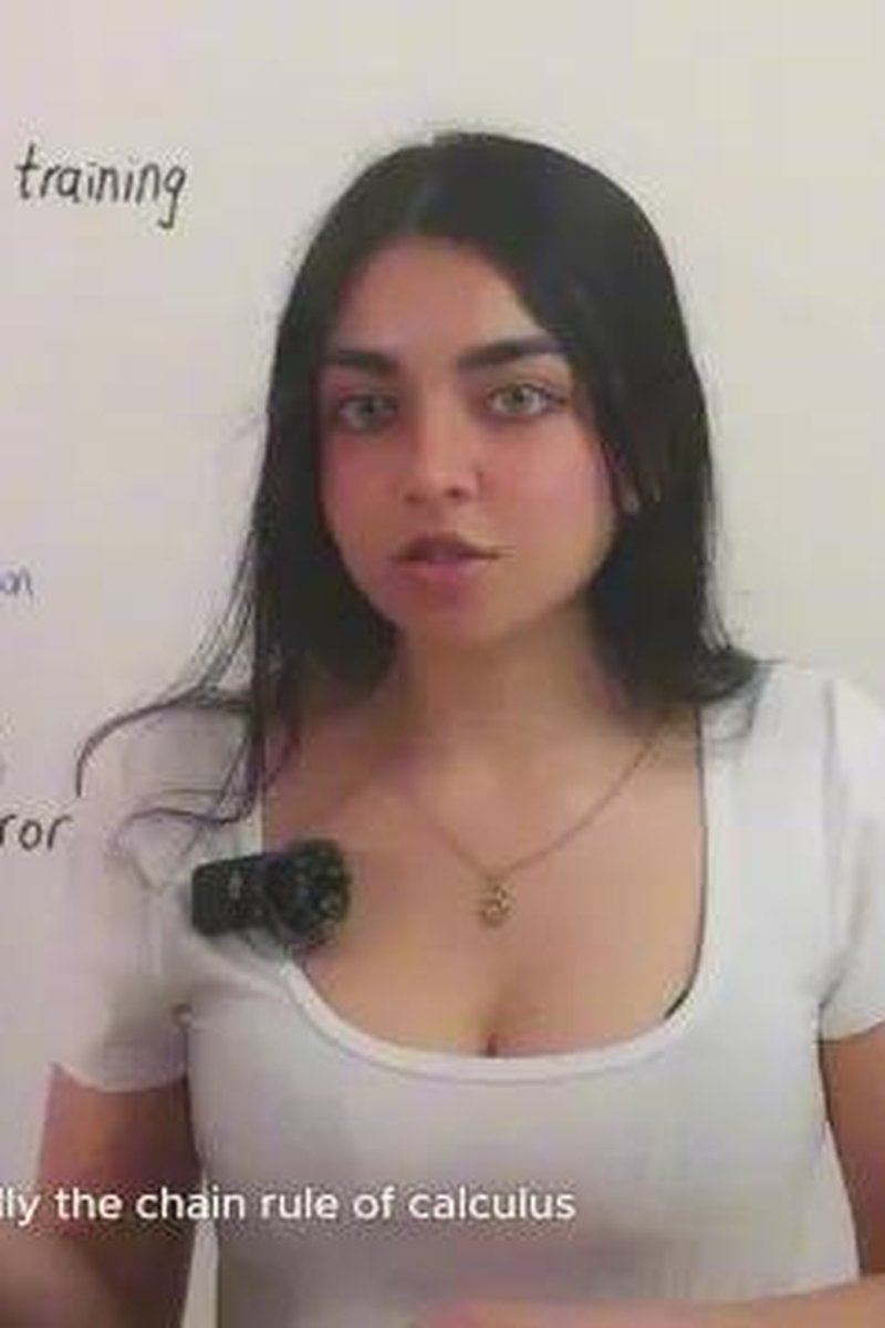 What Is A Loss Function In Machine Learning? - Screenshot 1 of 4 - Natural Tits