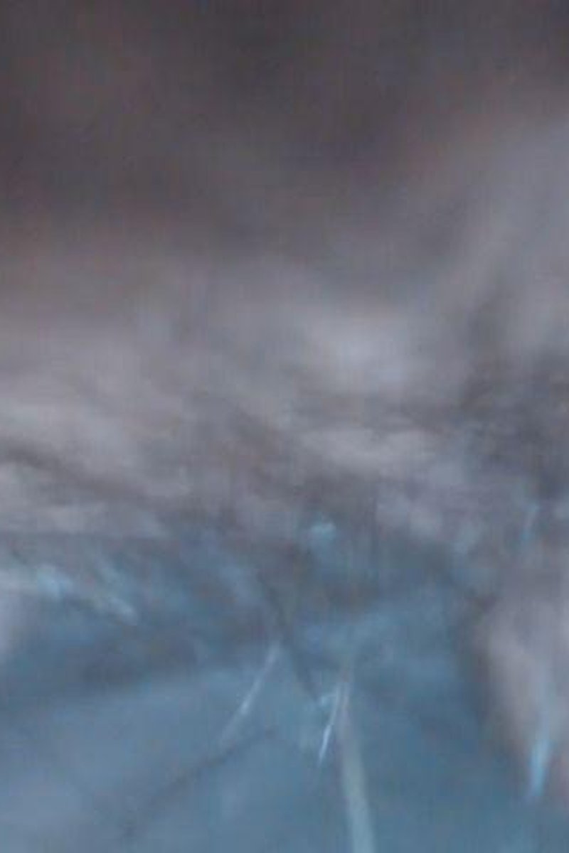 Fuzzy Fur - Screenshot 1 of 4 - Close Up