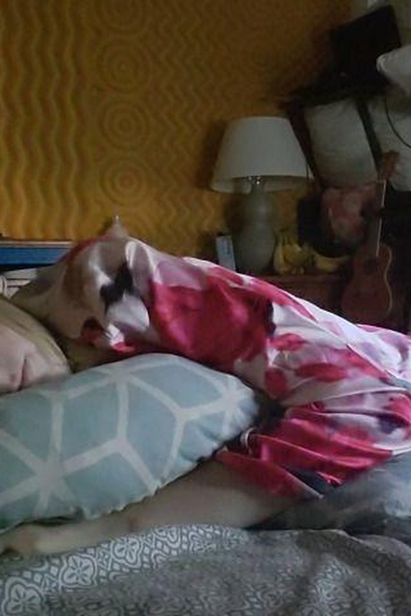 Napping - Screenshot 1 of 4 - Blonde Hair (Female)