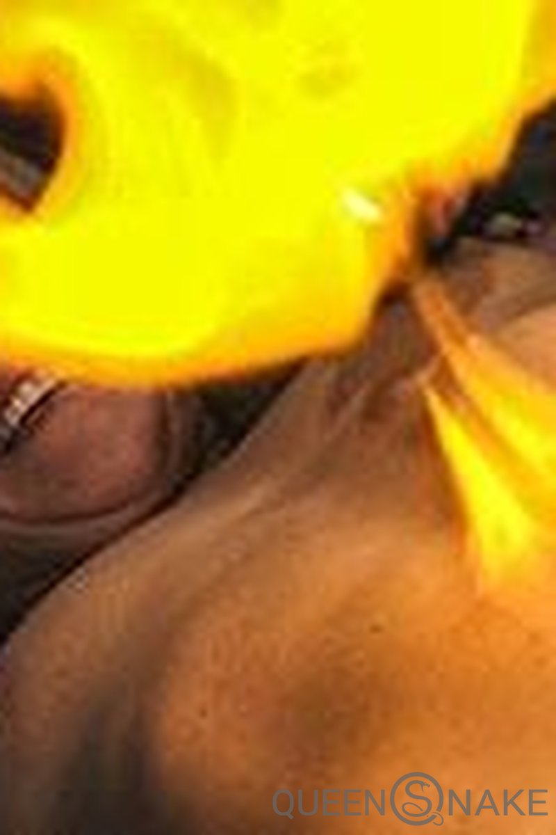 Flash Tracy - Screenshot 1 of 4 - Burning