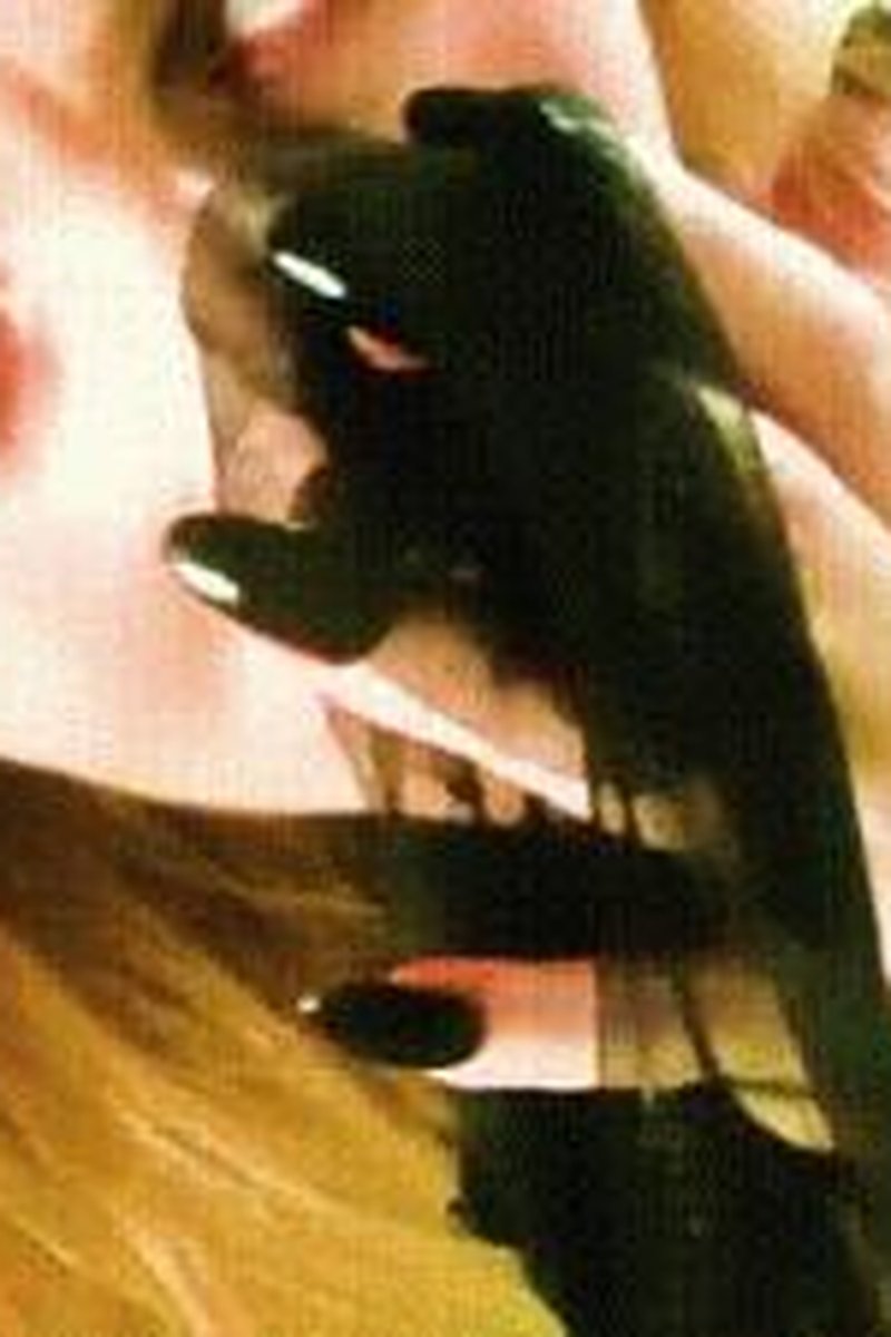 Erotic Magic - Screenshot 1 of 4 - ASMR